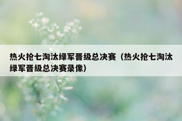 热火抢七淘汰绿军晋级总决赛（热火抢七淘汰绿军晋级总决赛录像）