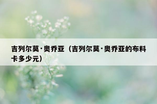 吉列尔莫·奥乔亚（吉列尔莫·奥乔亚的布料卡多少元）