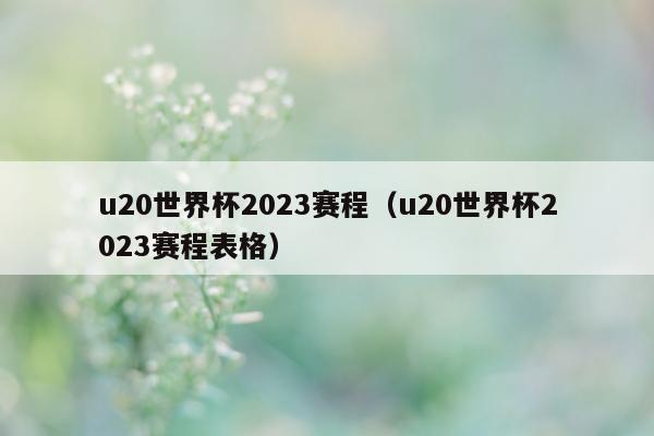 u20世界杯2023赛程（u20世界杯2023赛程表格）